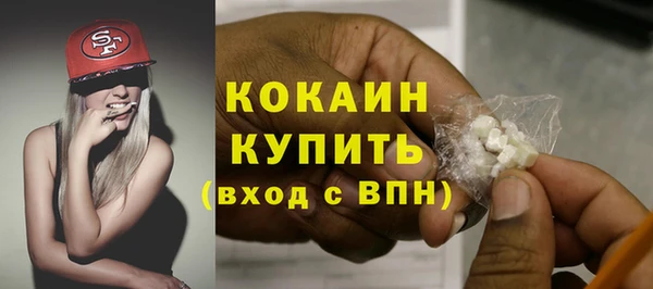 индика Новокубанск