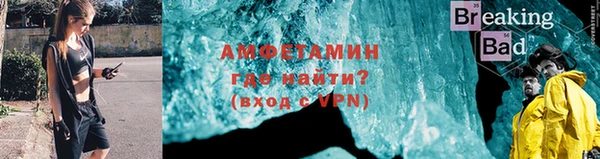 индика Новокубанск