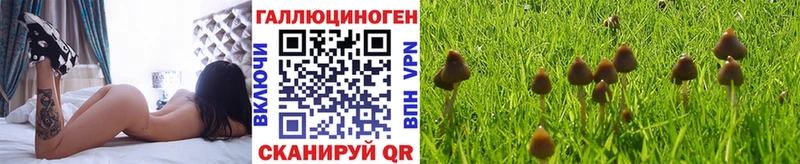 Галлюциногенные грибы Psilocybine cubensis  продажа наркотиков  Кубинка 