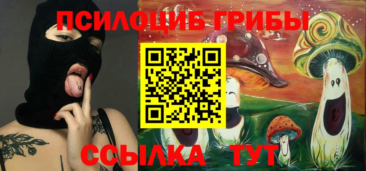 Псилоцибиновые грибы мицелий Кубинка