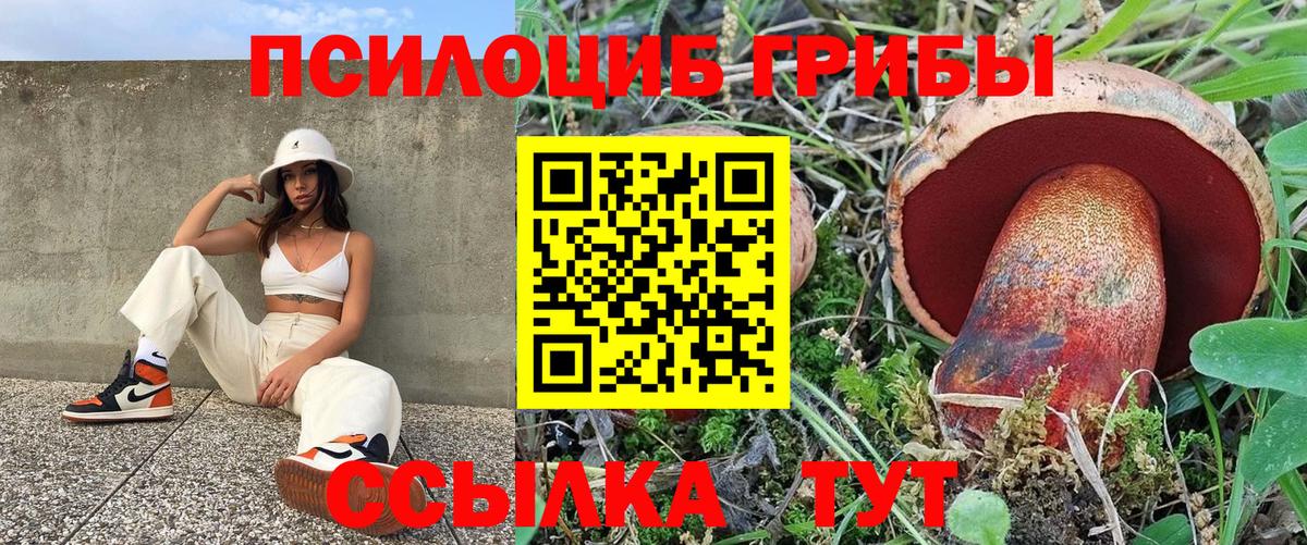 что такое наркотик  Галлюциногенные грибы Psilocybe  Кубинка  Псилоцибиновые грибы мухоморы 