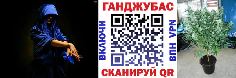 OMG ONION  Кубинка  Бошки марихуана White Widow  где продают  